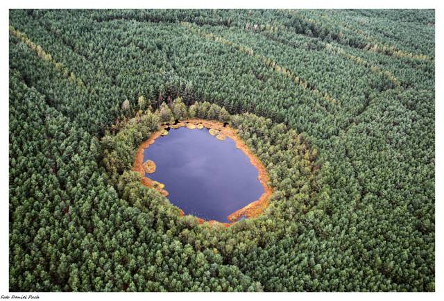 Rezerwat przyrody „Jeziorka Kozie”