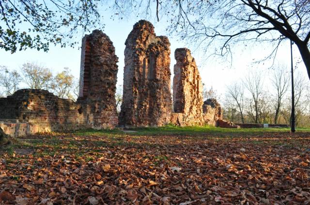 Ruiny zamku w Raciążku