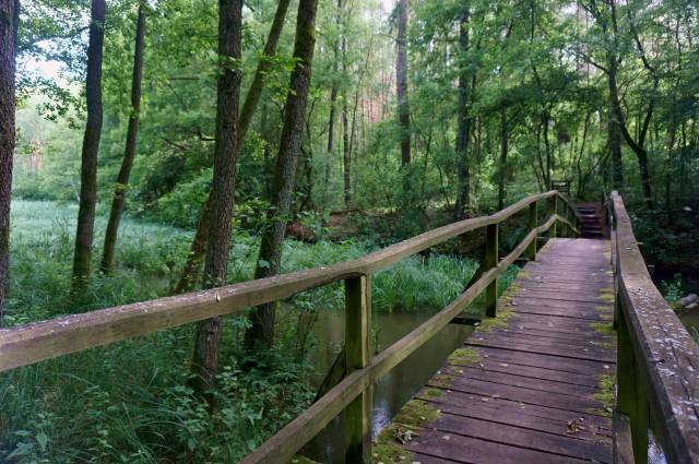Ścieżka przyrodniczo-dydaktyczna „Jelenia Wyspa”