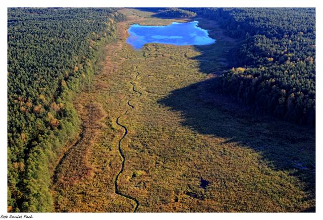 Rezerwat ornitologiczny „Miedzno”