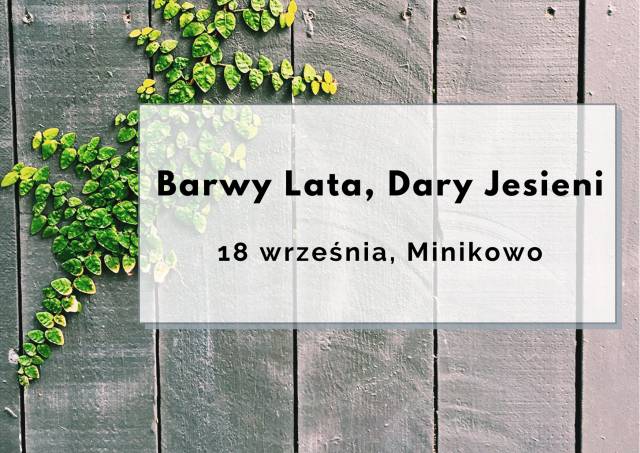 Barwy lata - dary jesieni