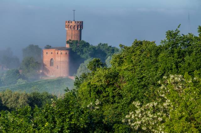 Zamek krzyżacki w Świeciu