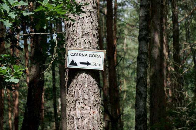 Czarna Góra