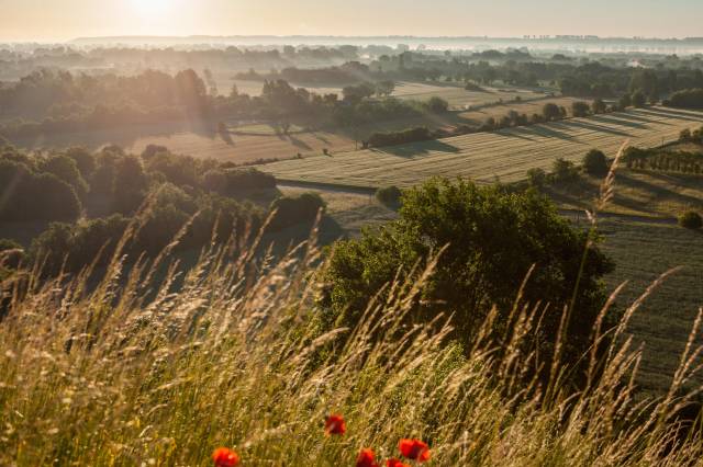 Grodzisko „Talerzyk” w Topolnie