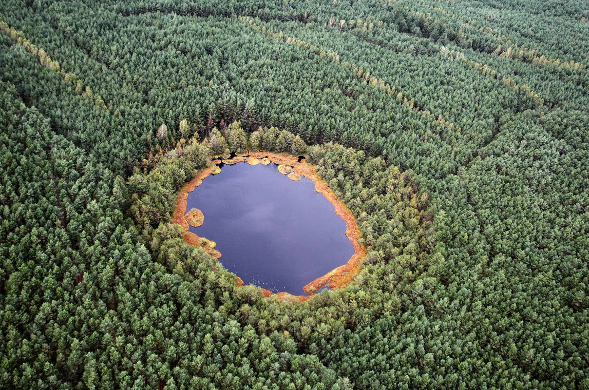 Rezerwat przyrody „Jeziorka Kozie”