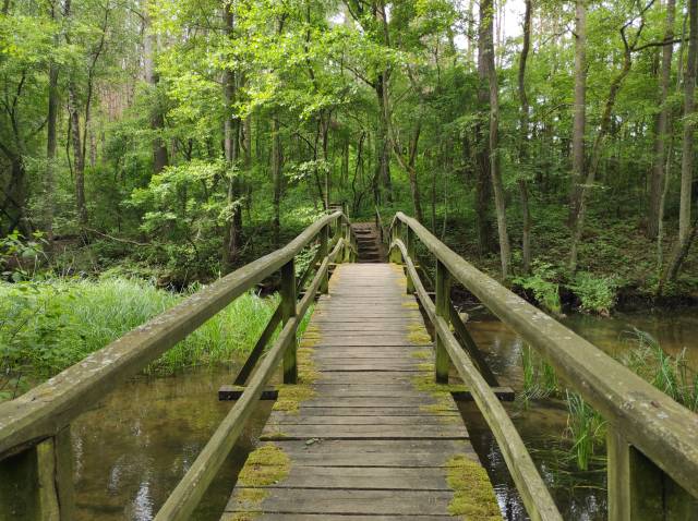 Nature and educational trail "Jelenia Island"