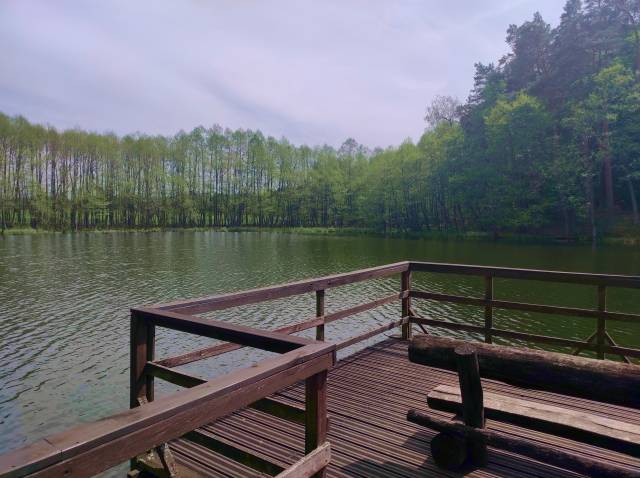 Leśna ścieżka dydaktyczna „Jezioro Wypalanki”