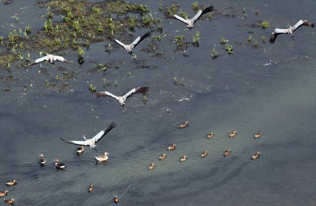 Rezerwat przyrody „Jezioro Rakutowskie”