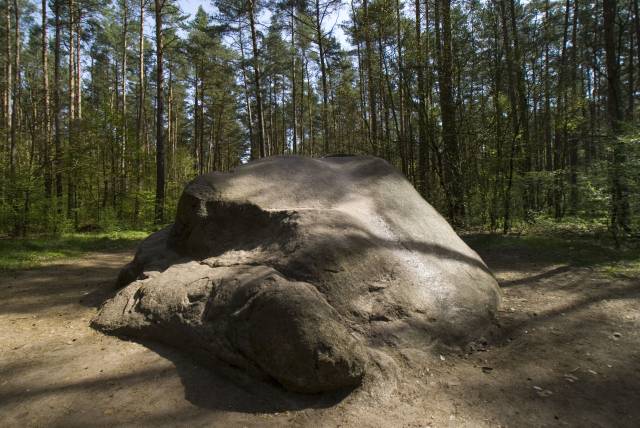 Kamień św. Wojciecha/Diabelski Kamień