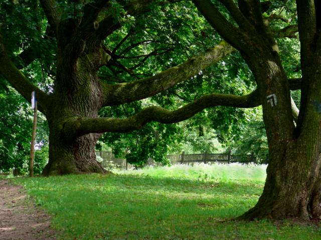 Park krajobrazowy w Sartowicach