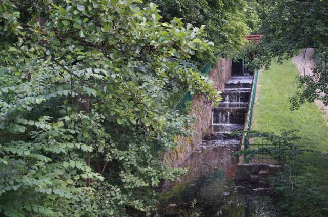 Ścieżka dydaktyczna „Bobrowiska”