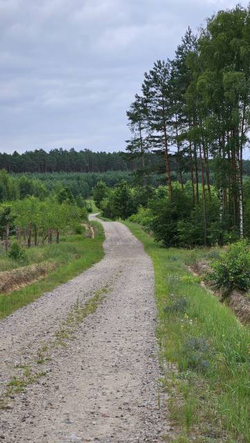Góry Łosiowe (Zakurzewo – Leśniewo – Zakurzewo)