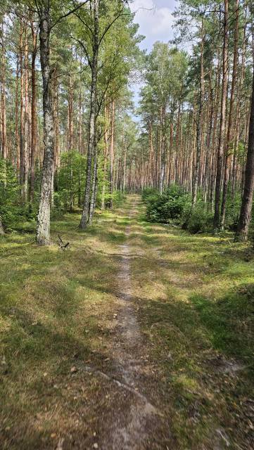 Trasa ku pamięci (Solec Kujawski - Nowa Wieś Wielka – Solec Kujawski)