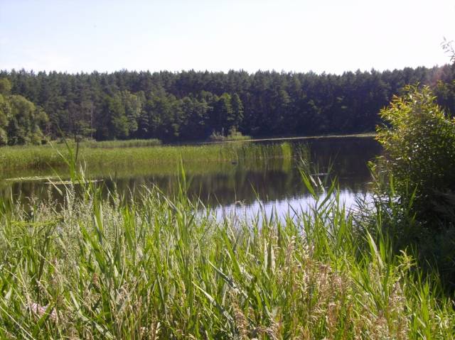 Z Barcina do Gołąbek