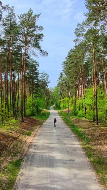 Szutry Gostynińsko-Włocławskiego Parku Krajobrazowego