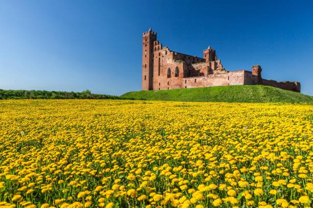 The ruins of the castle in Radzyń Chełmiński
